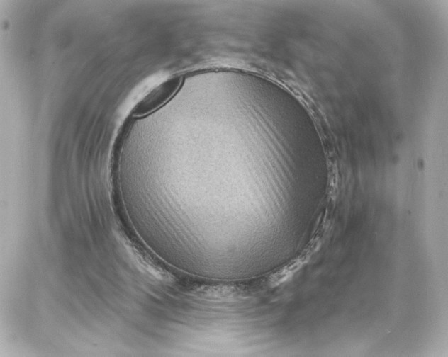 X0000087740104200705211022