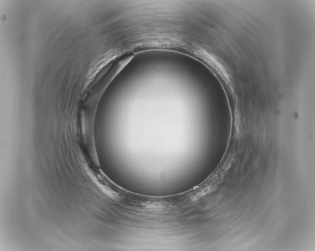 X0000087740105200705211022