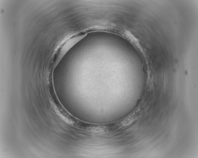 X0000087740106200705211022