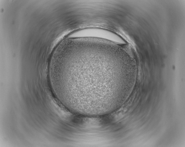 X0000087740107200705211022