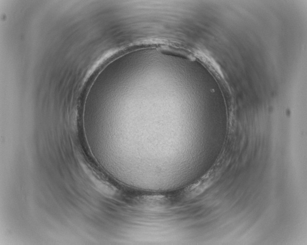 X0000087740108200705211022