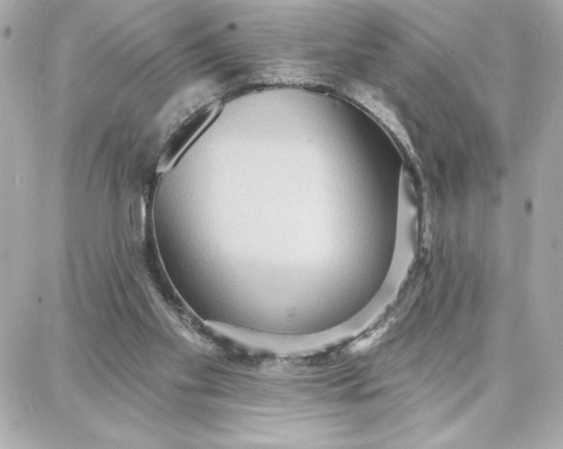 X0000087740109200705211022