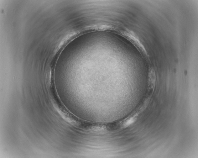 X0000087740110200705211022