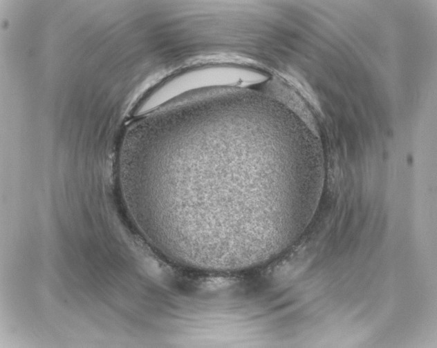 X0000087740111200705211022