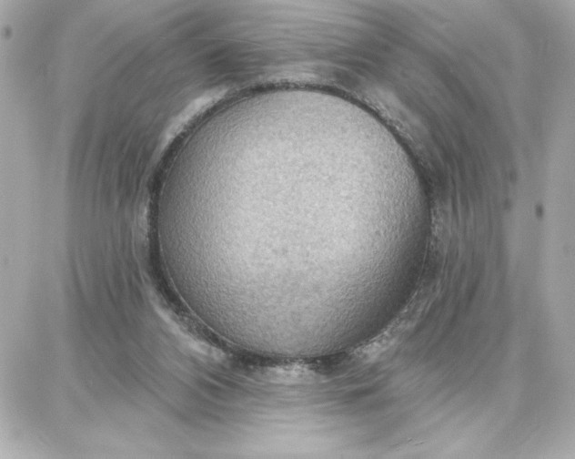 X0000087740112200705211022