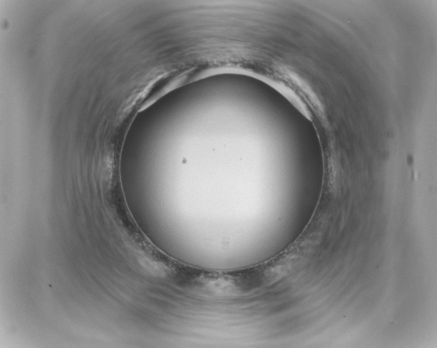 X0000087740113200705211022