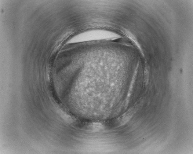 X0000087740114200705211022