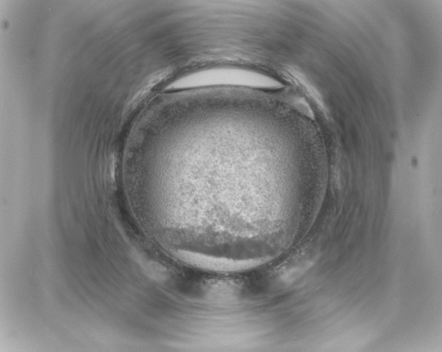 X0000087740115200705211022