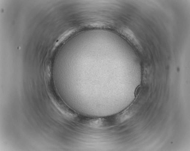 X0000087740116200705211022