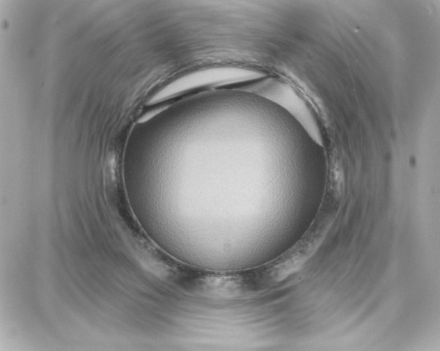 X0000087740117200705211022