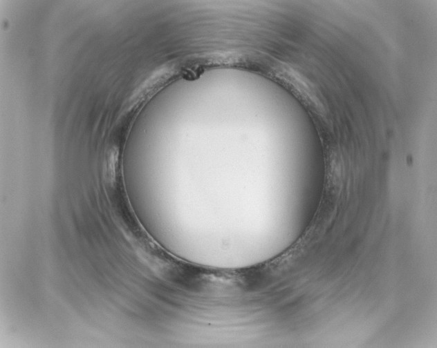 X0000087740118200705211022