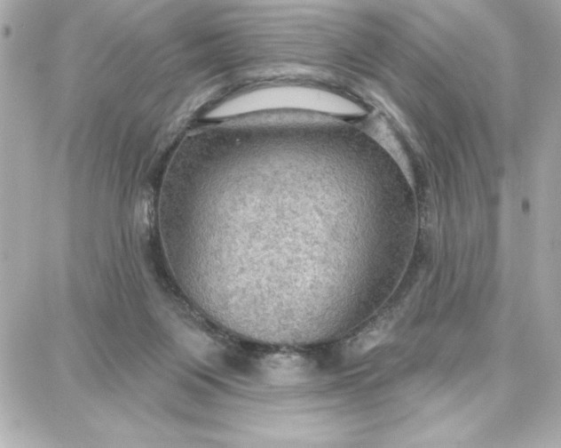 X0000087740119200705211022