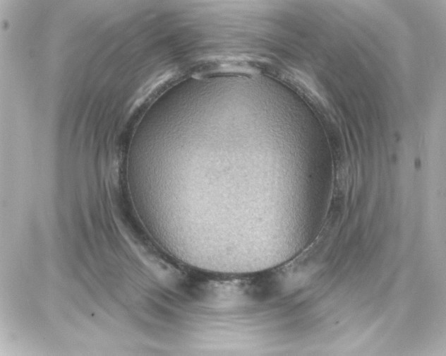 X0000087740120200705211022