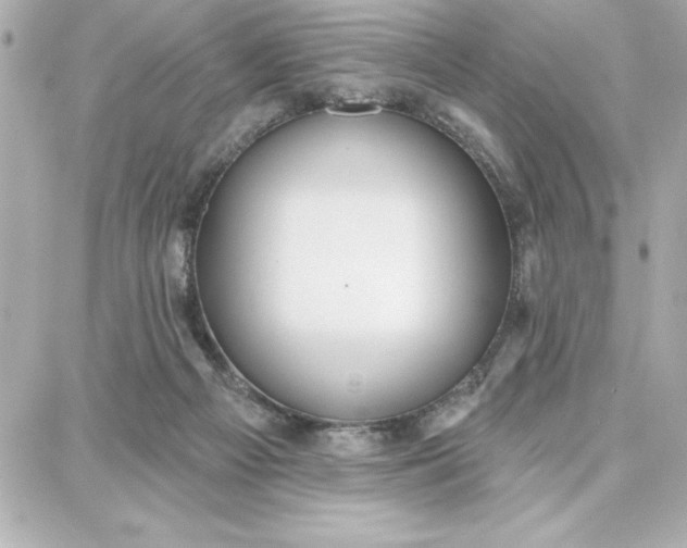 X0000087740121200705211022