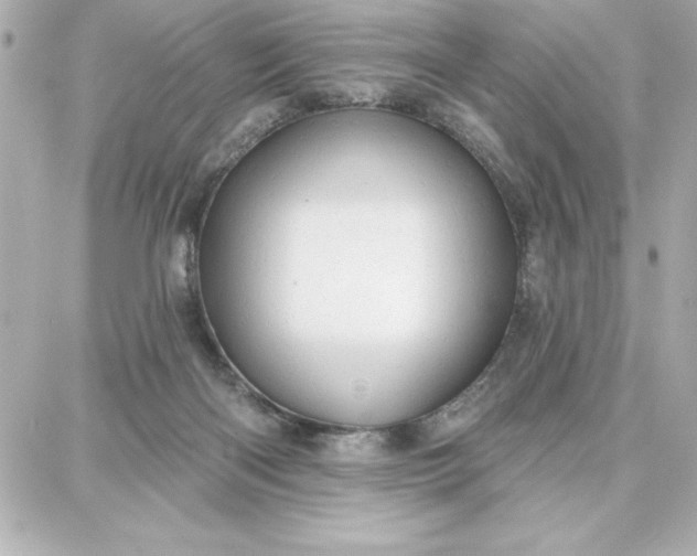 X0000087740122200705211022