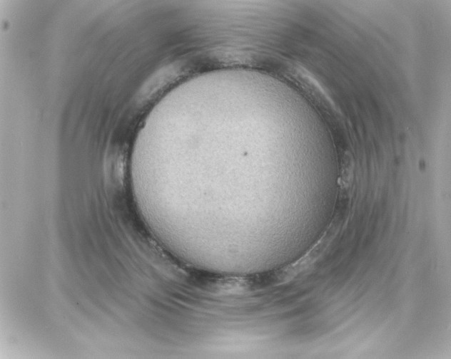 X0000087740124200705211022