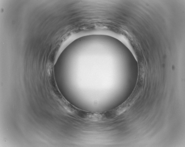 X0000087740125200705211022