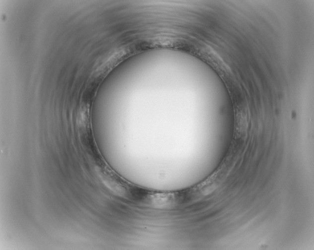 X0000087740126200705211022