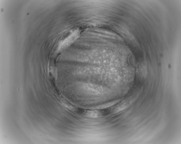 X0000087740127200705211022