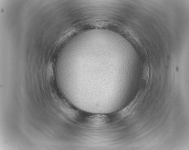 X0000087740128200705211022