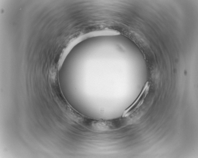 X0000087740129200705211022