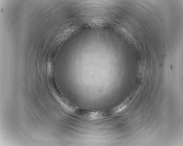 X0000087740130200705211022