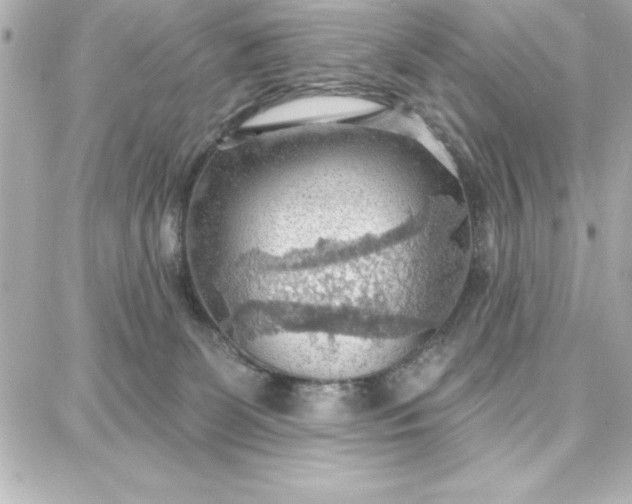 X0000087740131200705211022