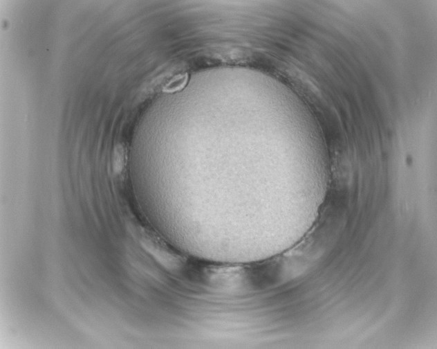 X0000087740132200705211022