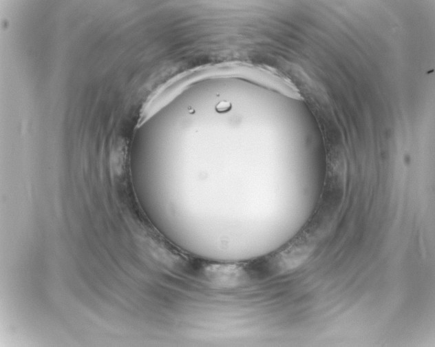 X0000087740133200705211022