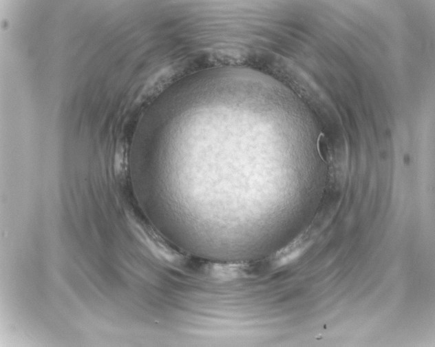 X0000087740134200705211022