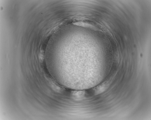 X0000087740135200705211022