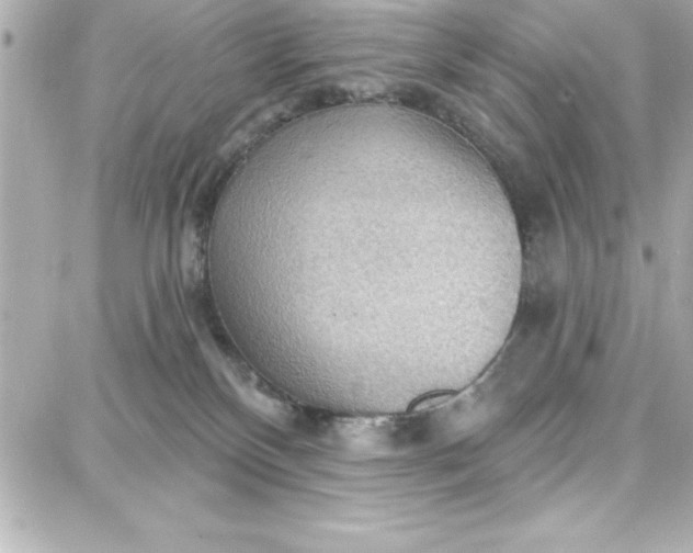 X0000087740136200705211022