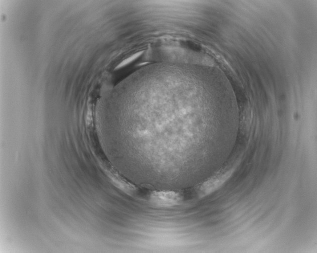 X0000087740137200705211022