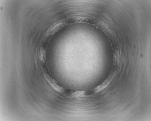 X0000087740138200705211022