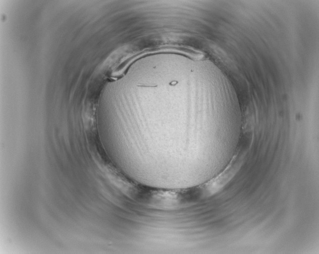 X0000087740140200705211022