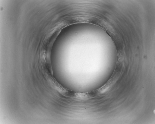 X0000087740141200705211022