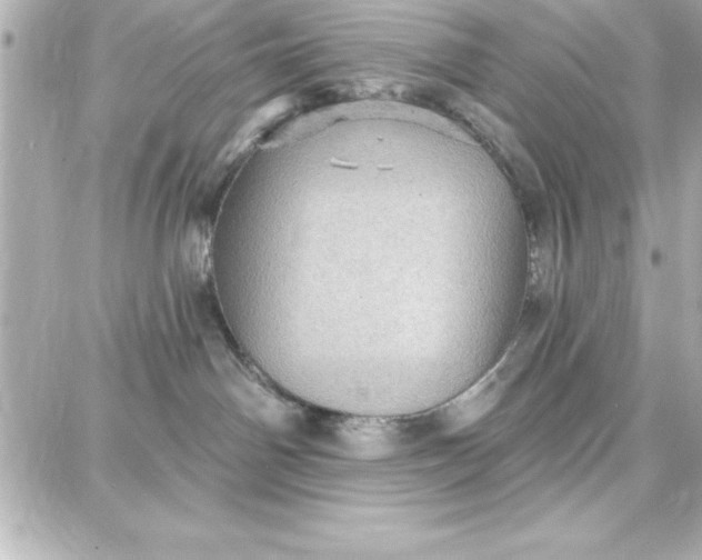 X0000087740142200705211022