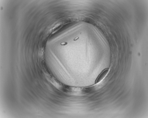 X0000087740144200705211022