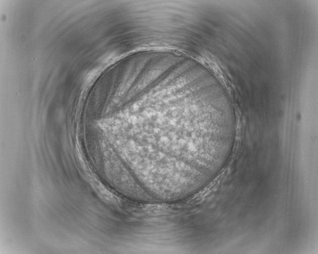 X0000087740145200705211021