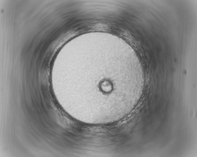 X0000087740146200705211021