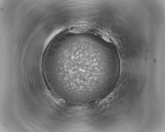 X0000087740147200705211021