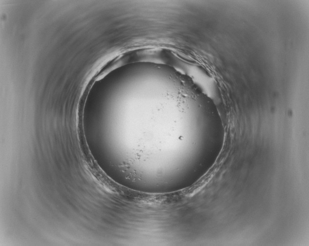 X0000087740148200705211021