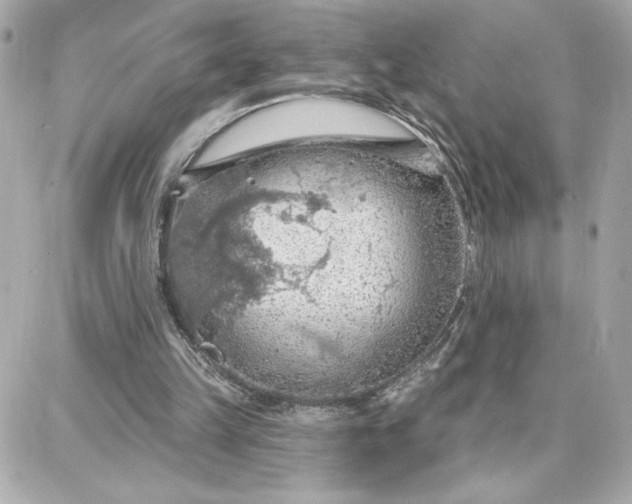 X0000087740149200705211021