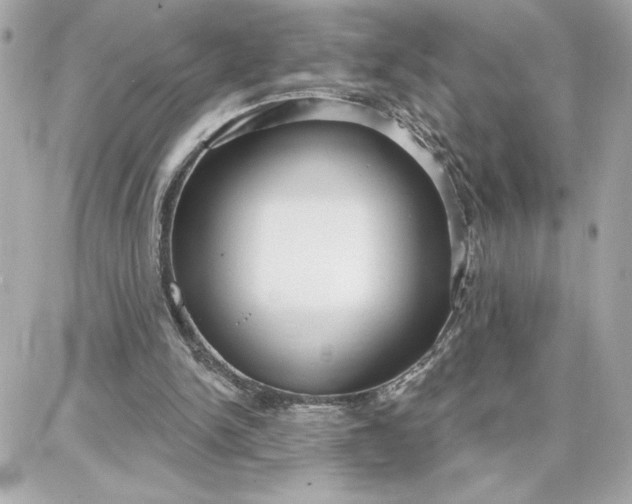 X0000087740150200705211021