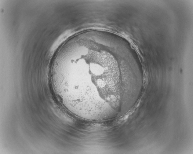 X0000087740151200705211021