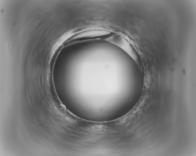 X0000087740152200705211021