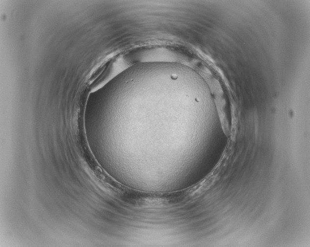 X0000087740154200705211021