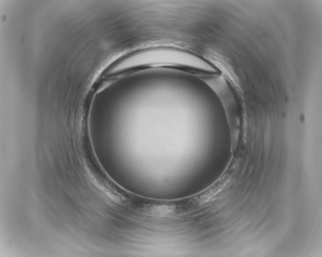 X0000087740156200705211021