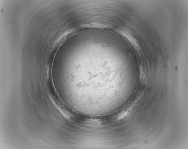 X0000087740157200705211021