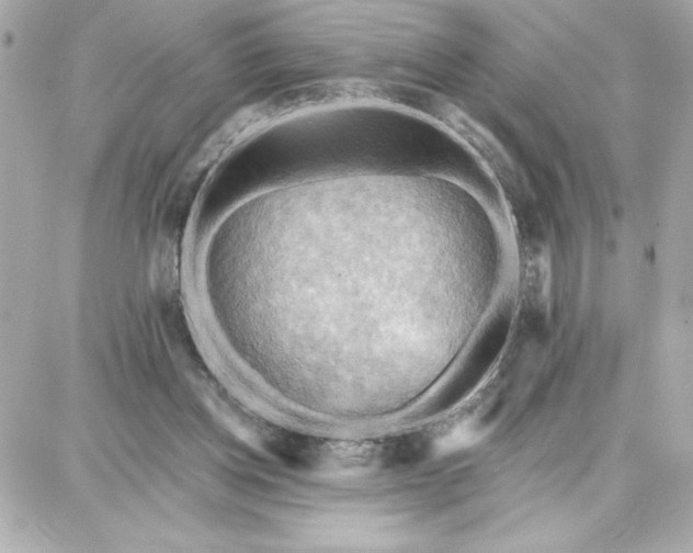 X0000087740158200705211021